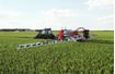 Image sur CAMPO 32P ISOTRONIC